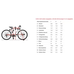 Diamant Rad 247 TRA - Cèdre De L'Atlas Métallisé -Vélos Soldes 247 Deluxe Tra TabL9EZCCRCnjeCA