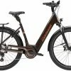 Diamant Mandara 160 Gen 3 TIE 545Wh Berninabraun Metallic Vélo Trekking électrique Col De Cygne