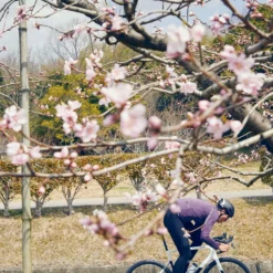 Cannondale SuperSix EVO Carbon Disc 105 Black Pearl -Vélos Soldes SuperSix EVO In The Wild 2