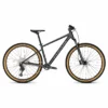 Focus Whistler 3.9 Diamondblack